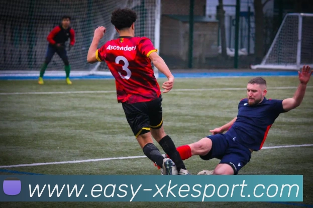 星空电竞平台生态图