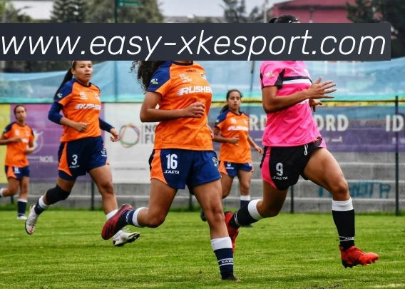 星空电竞全站App